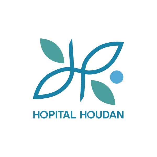 Houdan
