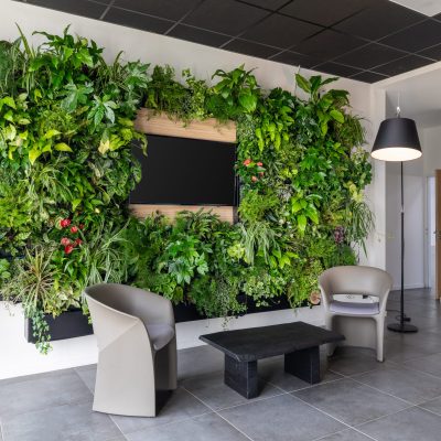 brutvegetal-meubles-murs-0002-r-hd