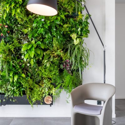 brutvegetal-meubles-murs-0004-hd