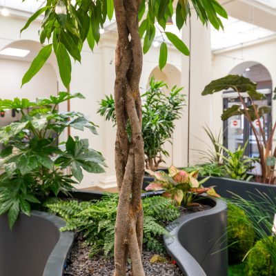 hall-conseil-departemental-21-0010-2000px