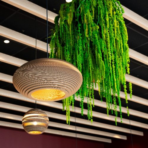 le-gout-du-vin-0089-2000px-900x900