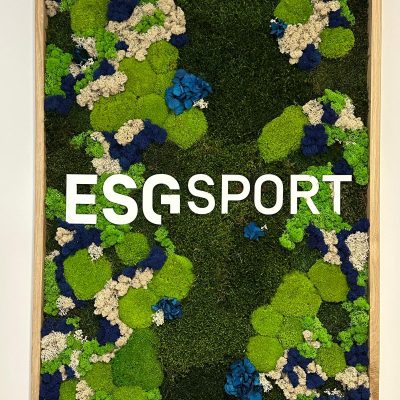 whatsapp-image-2025-02-24-at-16.13.52-3